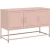 vidaXL Meuble TV rose 100,5x39x60,5 cm acier
