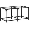 vidaXL Table basse avec dessus en verre transparent 78,5x40x40cm acier