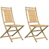 vidaXL Chaises pliables de jardin lot de 2 46x66x99 cm bambou