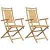 vidaXL Chaises pliables de jardin lot de 2 53x66x99 cm bambou