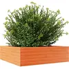 vidaXL Jardinière cire marron 80x80x23 cm bois de pin massif