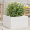 vidaXL Jardinière blanc 40x40x23 cm bois de pin massif