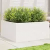 vidaXL Jardinière blanc 100x100x46 cm bois de pin massif