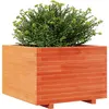 vidaXL Jardinière cire marron 70x70x49,5 cm bois de pin massif