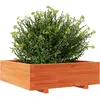 vidaXL Jardinière cire marron 80x80x26,5 cm bois de pin massif