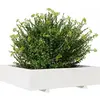 vidaXL Jardinière blanc 100x100x26,5 cm bois de pin massif
