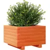 vidaXL Jardinière cire marron 40x40x26,5 cm bois de pin massif