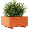 vidaXL Jardinière cire marron 50x50x26,5 cm bois de pin massif