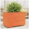 vidaXL Jardinière cire marron 70x40x49,5 cm bois de pin massif