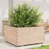 vidaXL Jardinière 90x90x49,5 cm bois de pin massif