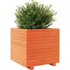 vidaXL Jardinière cire marron 50x50x49,5 cm bois de pin massif
