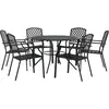 vidaXL Ensemble de chaises de jardin empilables 7 pcs anthracite
