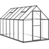 vidaXL Serre avec cadre de base anthracite 334x169x195 cm aluminium