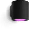 Philips Hue Muscari Spot Mural Extérieur 929004444401