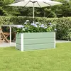 vidaXL Jardinière Vert 100 x 40 x 45 cm Acier