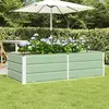 vidaXL Vidaxl Jardinière Vert 160 X 80 X 45 Cm Acier