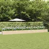 vidaXL Vidaxl Jardinière Ivoire 480 X 50 X 45 Cm Acier Galvanisé