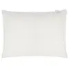 Dore & Rose Cooling Pillowcase 60x70 White Kussen