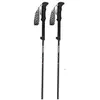Gabel Bâtons Ibex Carbon Xts