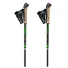 Gabel Bâtons Fld Carbon