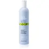 Milk Shake - No Frizz Allowed Perfecting Shampoo - 300ml