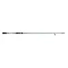 Fishing Ferrari Canne Spinning Gt