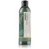eLGON green Imagea Absolute Shampoo