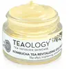 Teaology Kombucha Tea Revitalizing Eye Cream