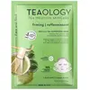 Teaology Matcha Tea Superfood Mask