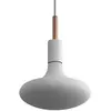 Creative Cables Lampe Suspendue Avec Ampoule Delo