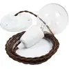 Creative Cables Lampe Suspendue Pendel Tz22 Diy 2 M