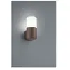 Applique Hoosic 1xE27 Ruggine H17 cm IP44 Trio Lighting