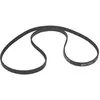 WHIRLPOOL - SNAAR POLY-V 1194 J5 ELASTISCH - 481281718159