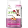 1,5kg saumon Natural Trainer Kitten OGM chat