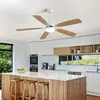 TANANT Ventilateur de plafond 132 cm avec LED 18W dimmable 3 couleurs ...
