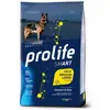 12kg Chicken & Rice Smart Adult Medium/ Large Breed Prolife Dry Dogs (chiens secs au poulet et au riz)
