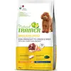 Natural Trainer Adult Small & Toy jambon cru pour chien - 2 kg