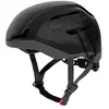 Salice Casque Ice