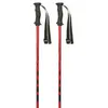 Masters Bâtons Carbon Rtl