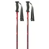 Masters Bâtons Rental Carbon