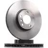 Brembo Remschijf