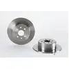 Brembo Remschijf achter