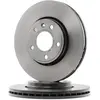 Brembo Remschijf