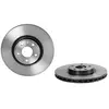 Brembo Remschijf
