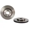 Brembo Remschijf
