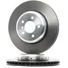 Brembo Remschijf