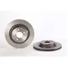 Brembo Remschijf