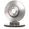 Brembo Remschijf