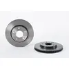Brembo Remschijf