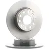 Brembo Remschijf